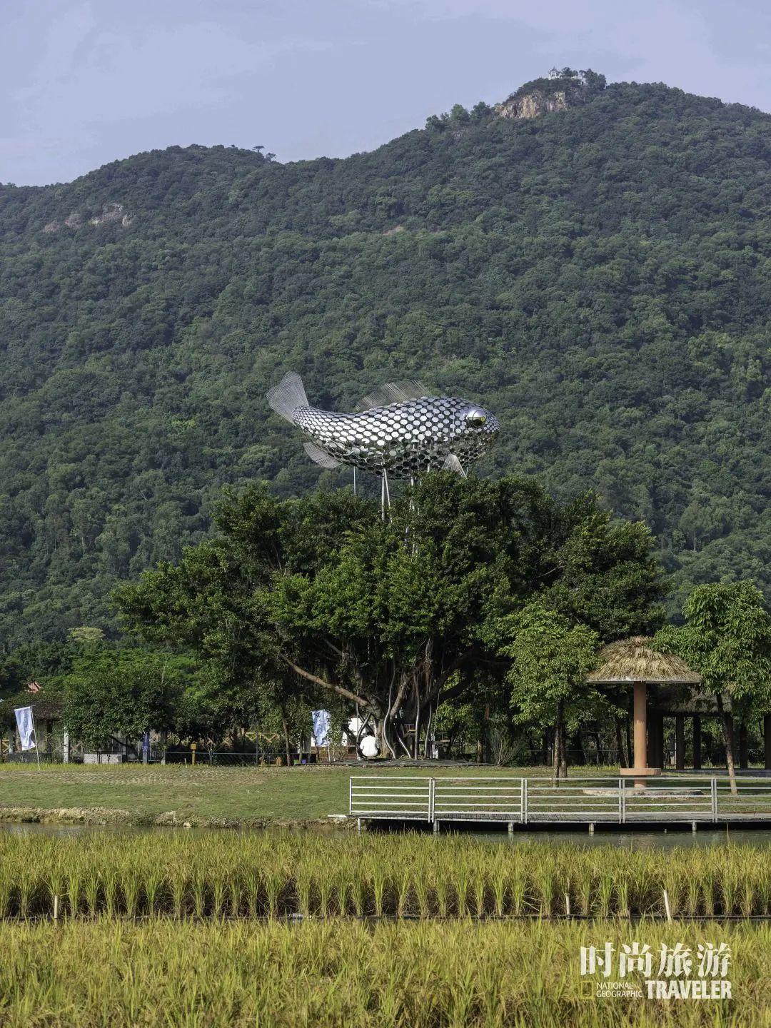 佛山市全景高清地图_佛山市旅游地区分布图高清_佛山市高清图片