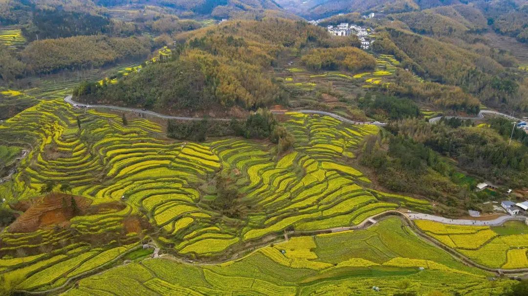 徽州区旅游攻略景点必去_徽州区旅游新闻_徽州旅游的游记