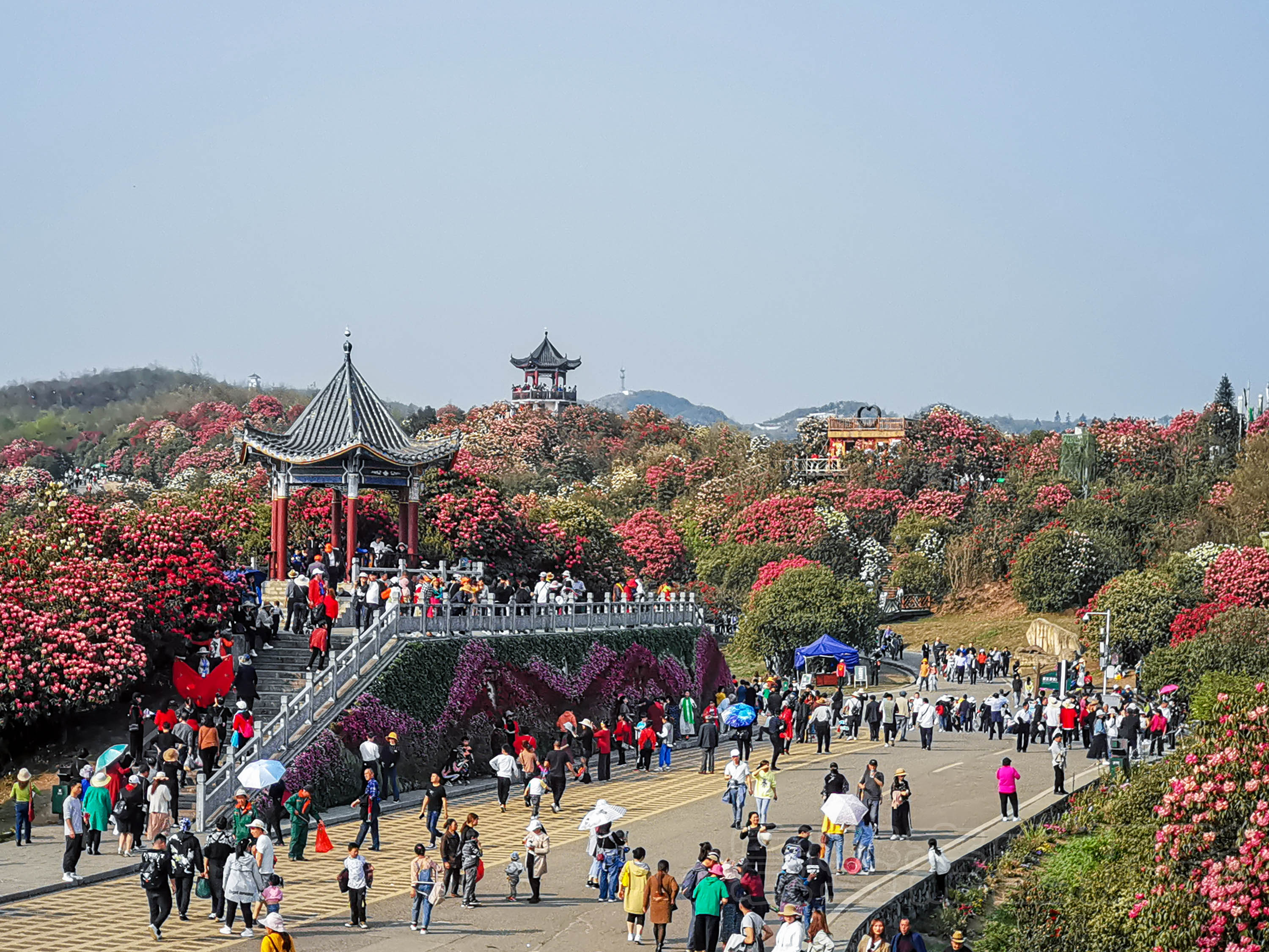 贵州旅游骗局_贵州旅游套路陷阱有哪些_贵州旅游坑人欺诈