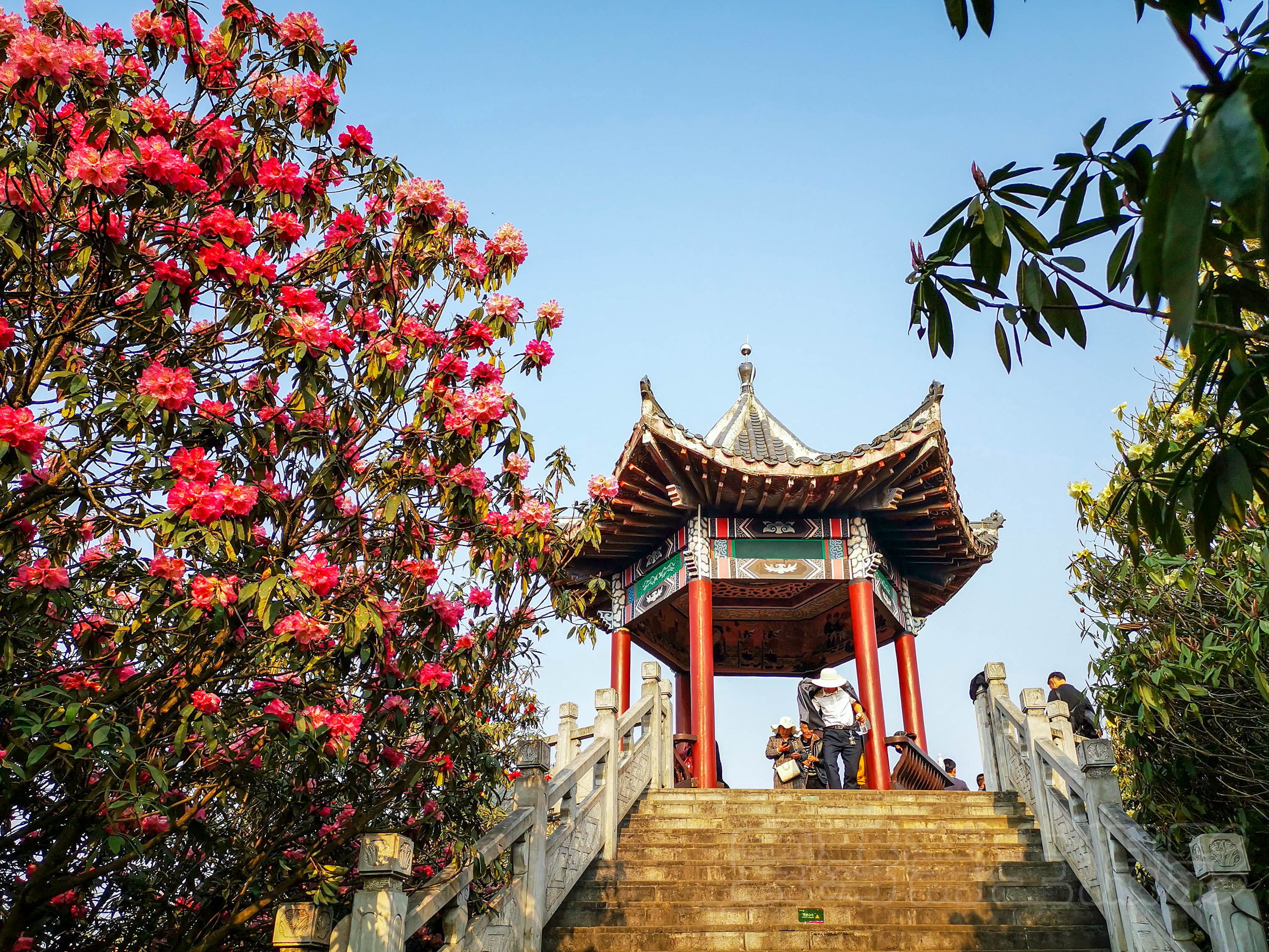 贵州旅游套路陷阱有哪些_贵州旅游骗局_贵州旅游坑人欺诈