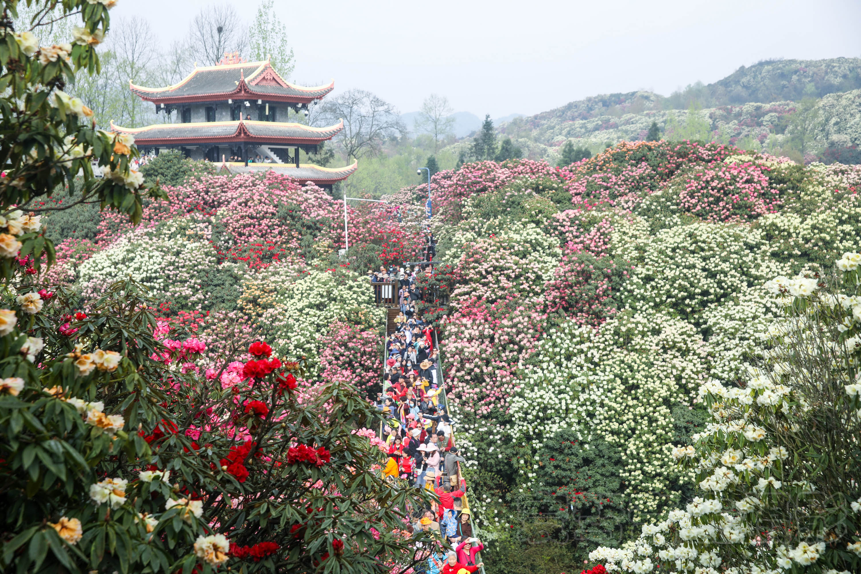 贵州旅游骗局_贵州旅游套路陷阱有哪些_贵州旅游坑人欺诈