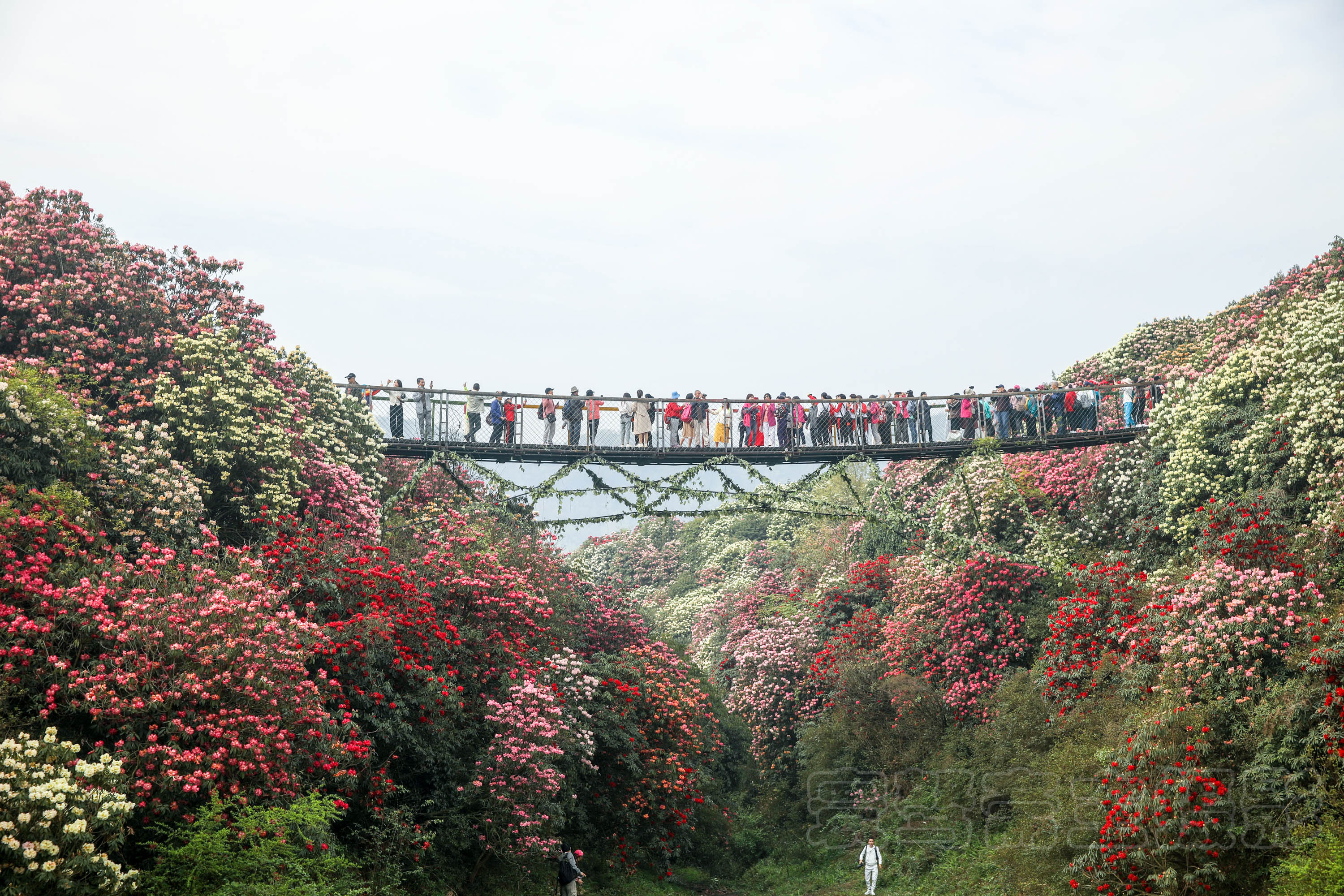贵州旅游坑人欺诈_贵州旅游骗局_贵州旅游套路陷阱有哪些