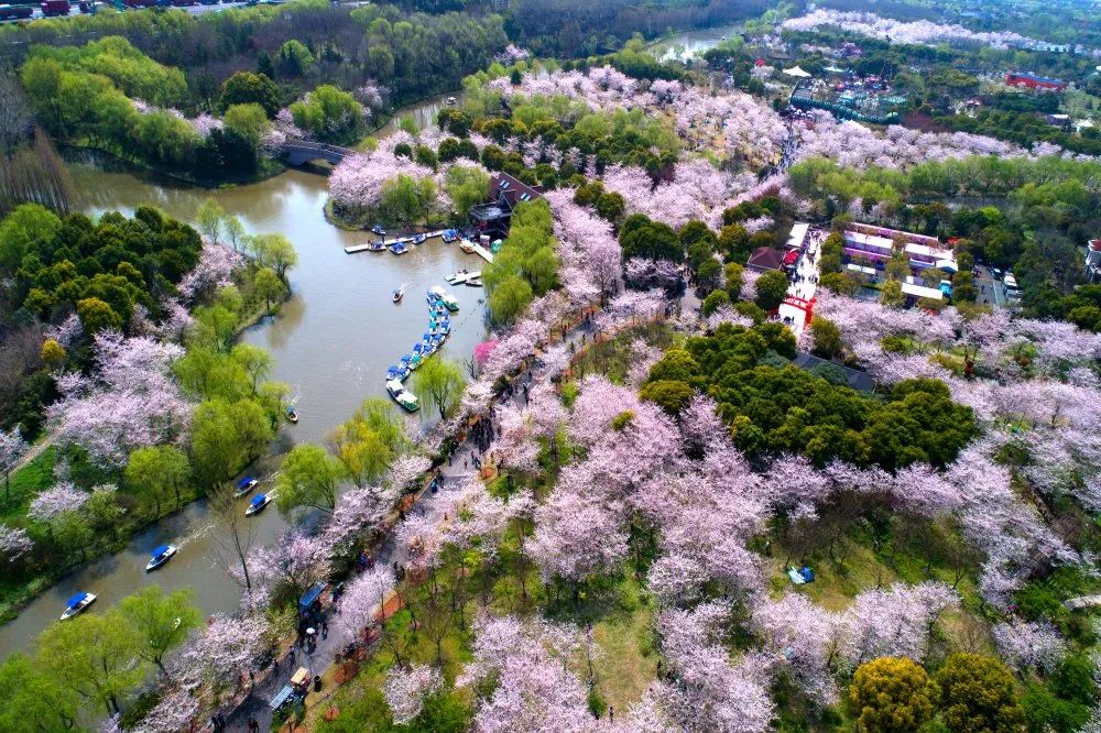特色乡村旅游线路设计_乡村旅游线路设计方案_乡村旅游线路设计范文