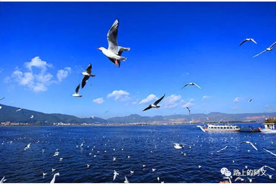 昆明景点季节旅游推荐_昆明旅游季节_昆明这个季节旅游景点