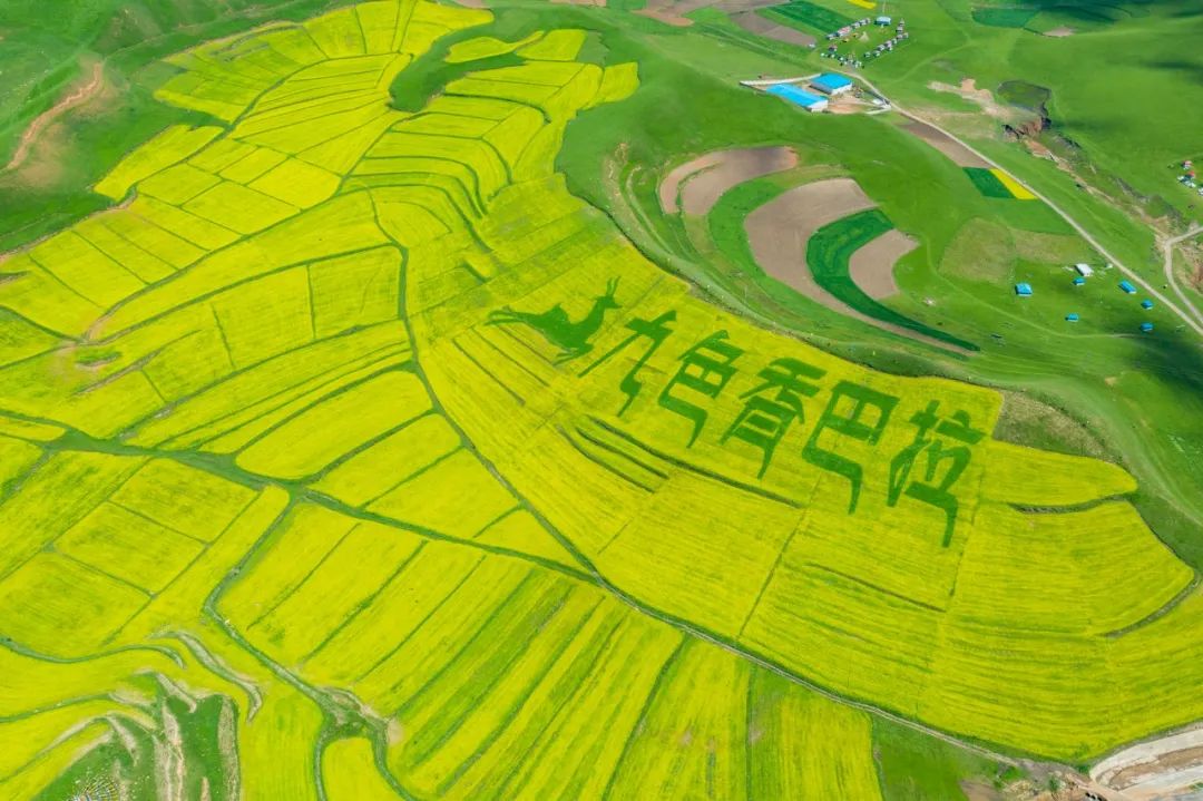 巴塘旅游景点_巴塘好玩的旅游景点_巴塘旅游季节