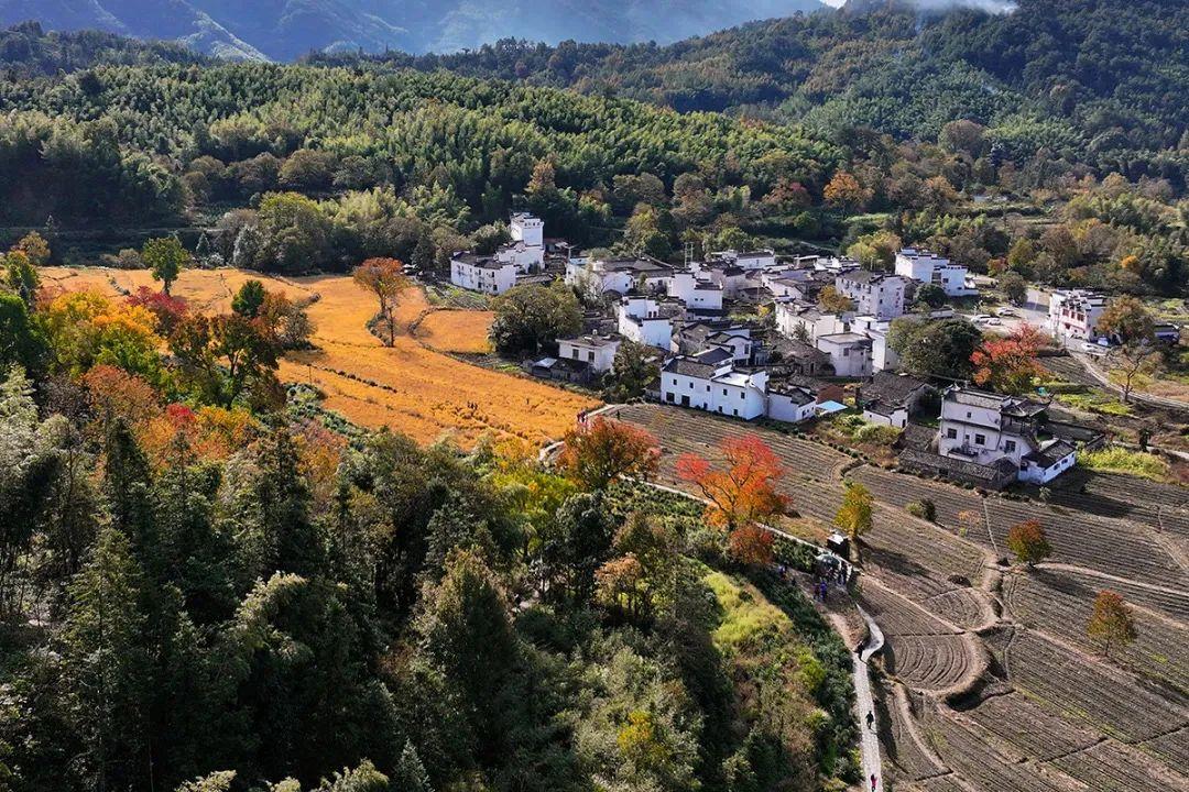 塔川旅游季节_塔川旅游攻略_塔川最佳旅游季节