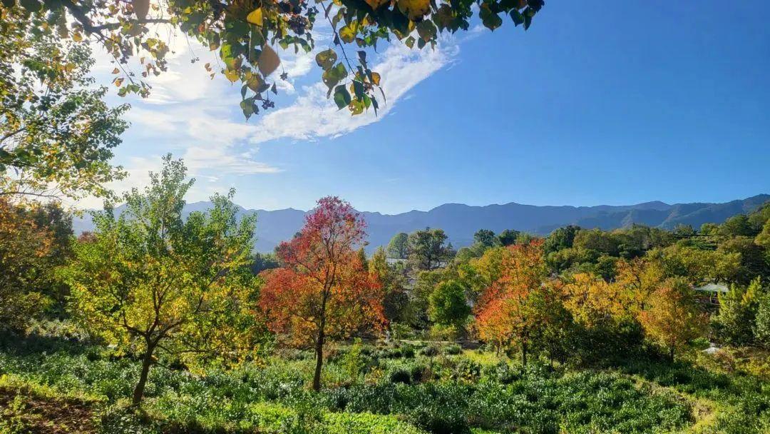 塔川最佳旅游季节_塔川旅游攻略_塔川旅游季节