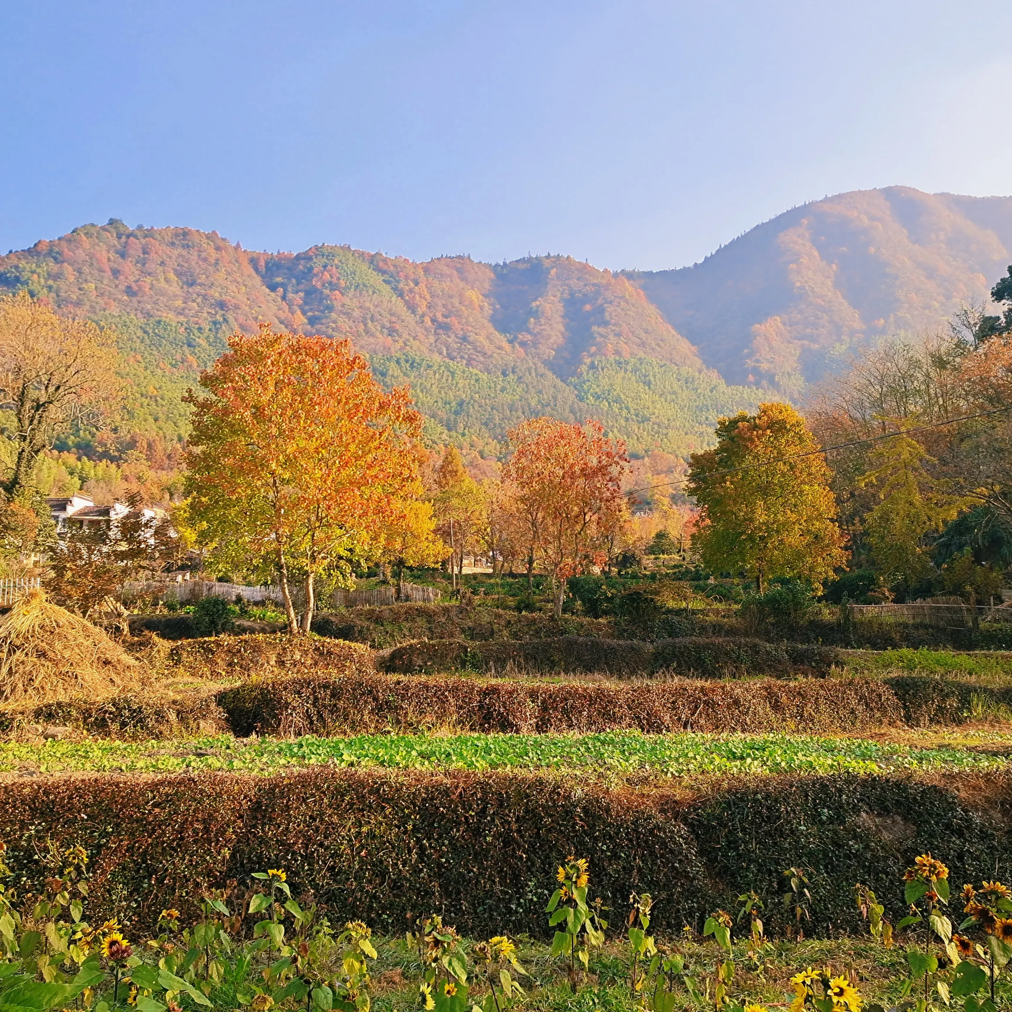塔川旅游攻略_塔川自驾游线路_塔川旅游季节