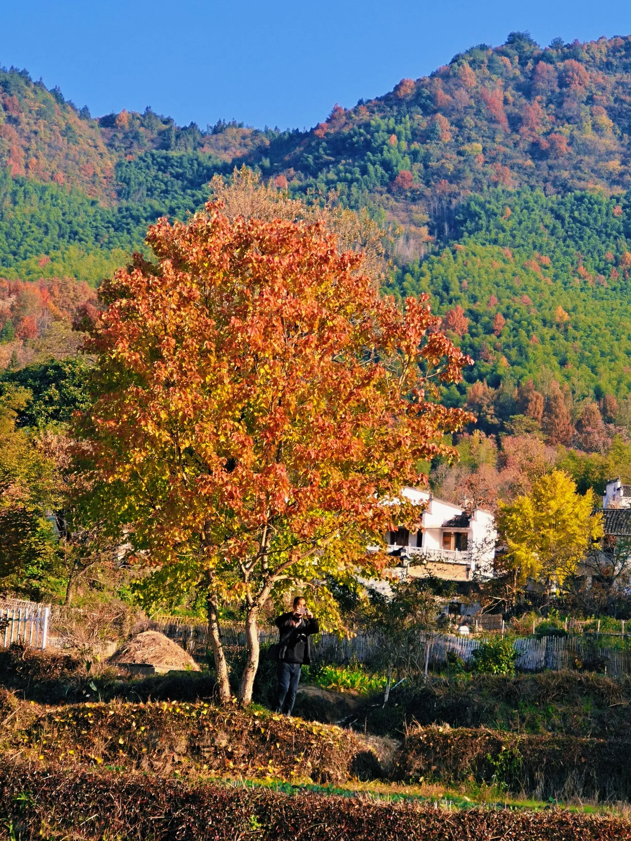 塔川旅游季节_塔川旅游攻略_塔川自驾游线路